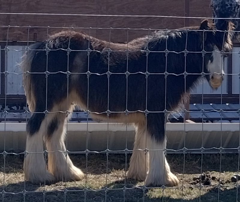 eight months old