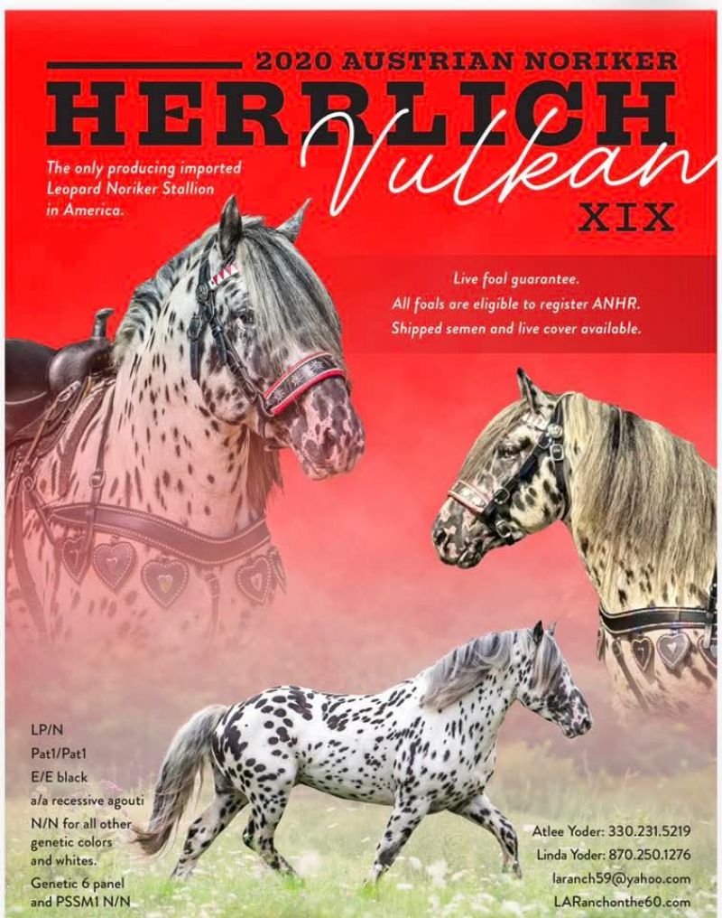 Grace's sire
