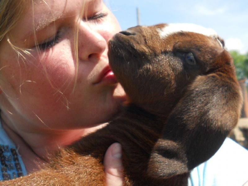 doeling-'Lisa Marie', one day old
