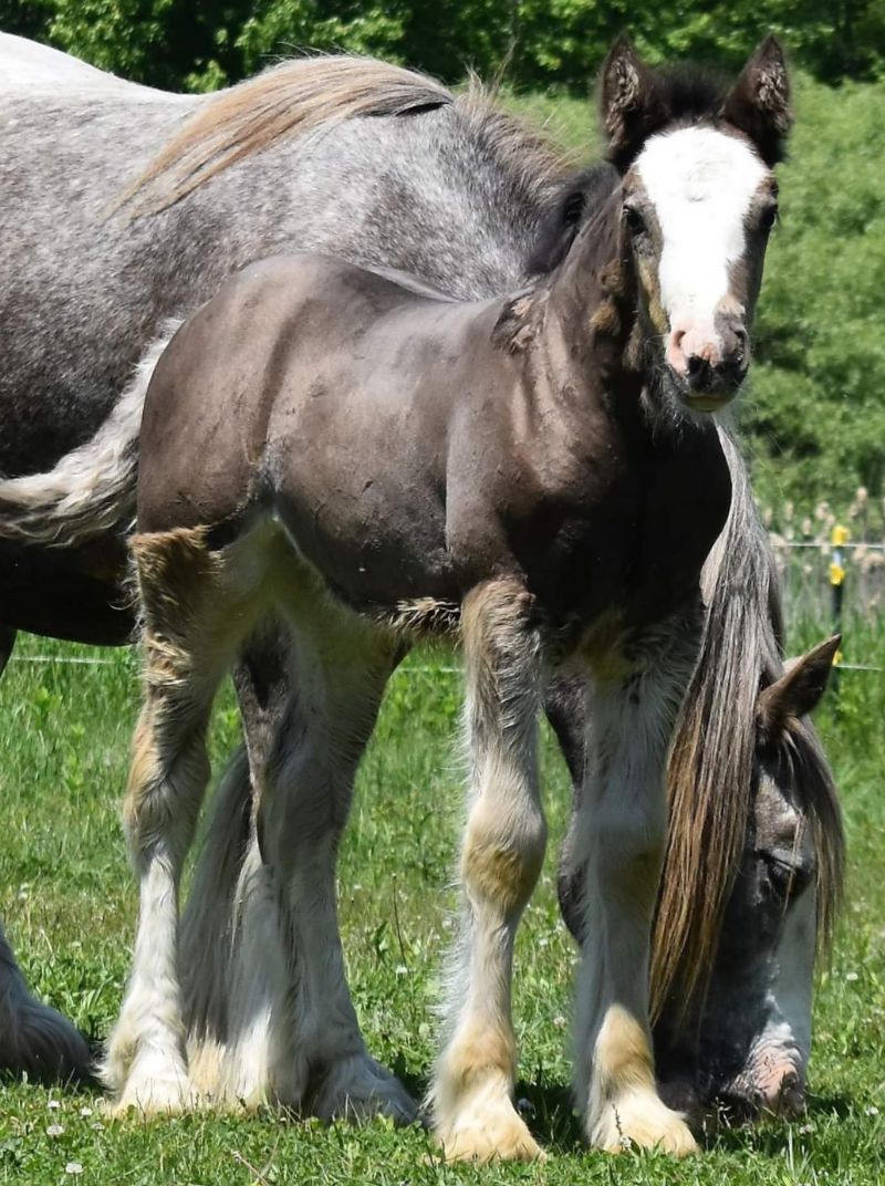 Finesse at three months old
